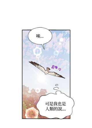 传令鸟公主殿下2话