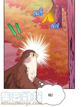 传令鸟公主殿下2话