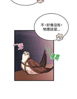 传令鸟公主殿下3话