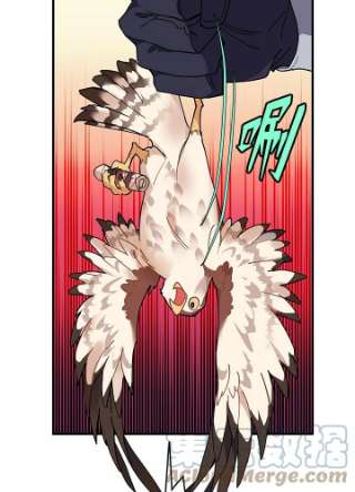传令鸟公主殿下3话