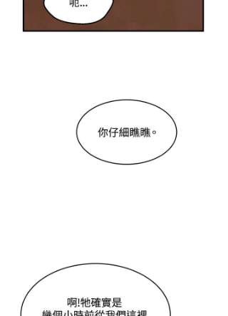 传令鸟公主殿下3话