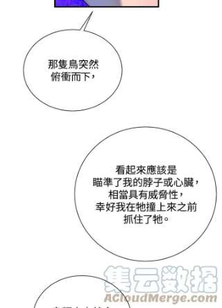 传令鸟公主殿下3话
