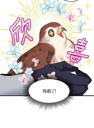 传令鸟公主殿下3话
