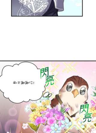 传令鸟公主殿下3话