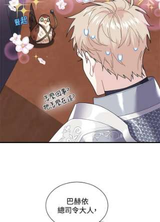 传令鸟公主殿下3话