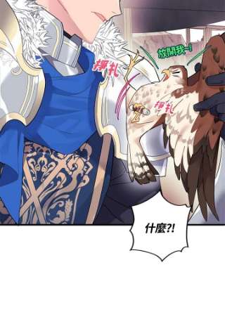 传令鸟公主殿下3话
