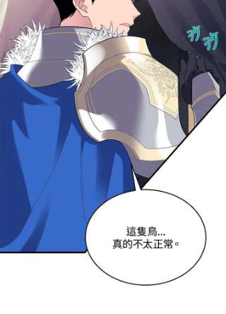 传令鸟公主殿下4话