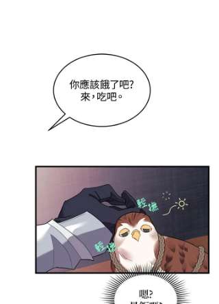 传令鸟公主殿下4话