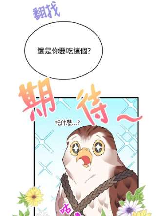 传令鸟公主殿下4话