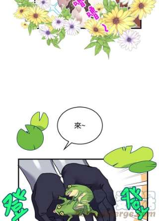 传令鸟公主殿下4话