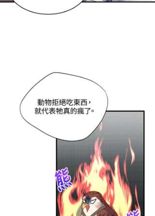 传令鸟公主殿下4话
