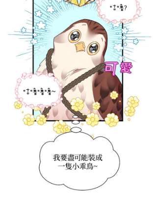传令鸟公主殿下4话
