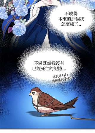 传令鸟公主殿下4话