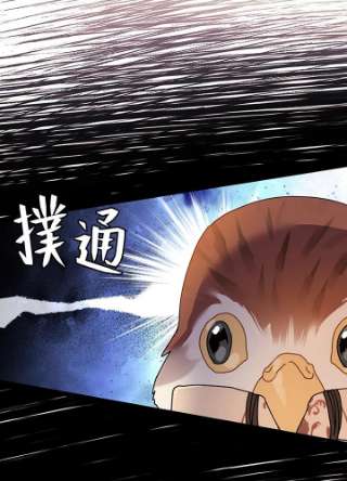 传令鸟公主殿下4话