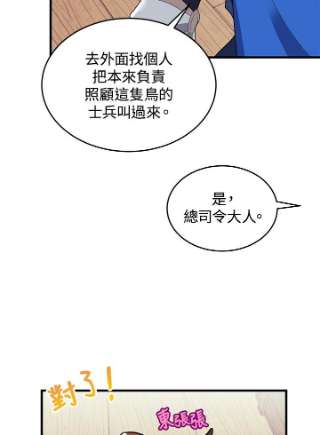 传令鸟公主殿下4话