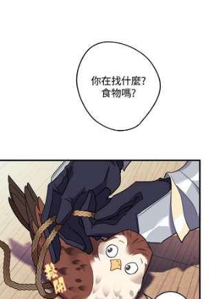 传令鸟公主殿下4话