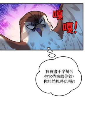 传令鸟公主殿下4话
