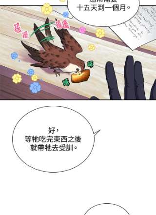 传令鸟公主殿下5话
