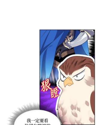 传令鸟公主殿下5话