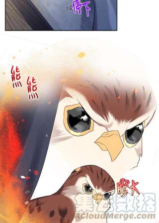 传令鸟公主殿下5话