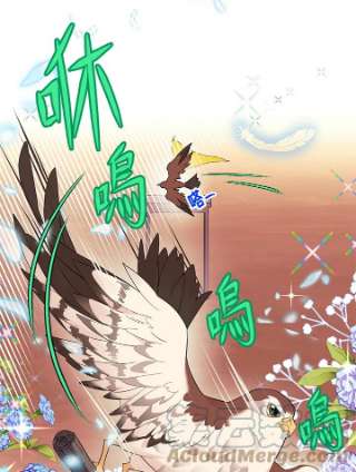 传令鸟公主殿下5话