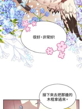 传令鸟公主殿下5话