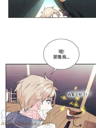 传令鸟公主殿下5话