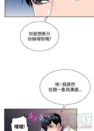 传令鸟公主殿下6话