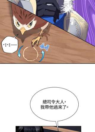 传令鸟公主殿下6话