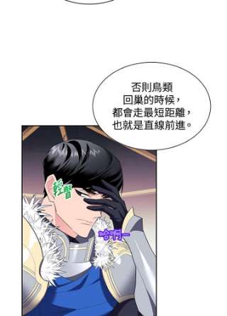传令鸟公主殿下6话