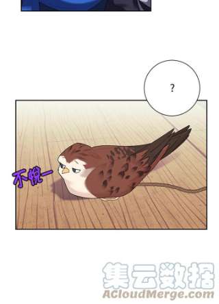 传令鸟公主殿下6话