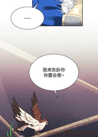 传令鸟公主殿下6话