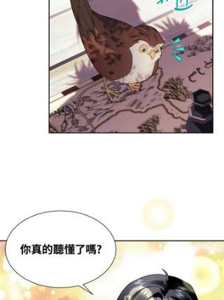 传令鸟公主殿下6话
