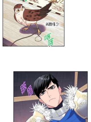 传令鸟公主殿下6话