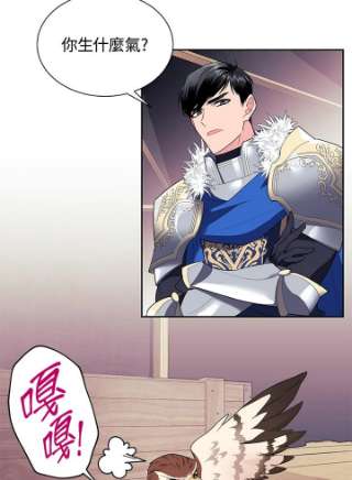 传令鸟公主殿下6话