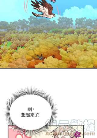 传令鸟公主殿下7话