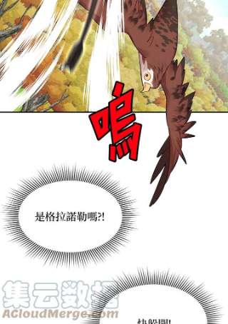 传令鸟公主殿下7话