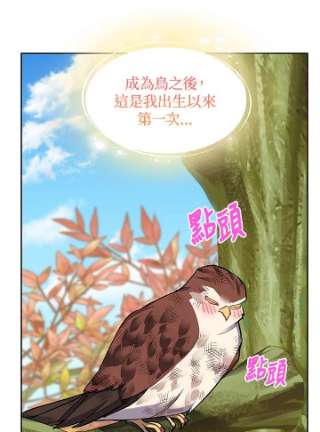 传令鸟公主殿下7话