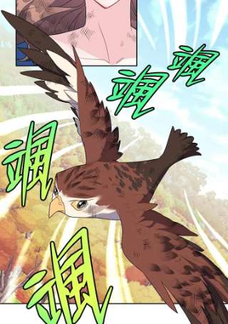 传令鸟公主殿下7话