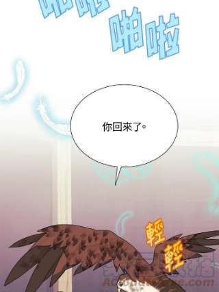 传令鸟公主殿下7话