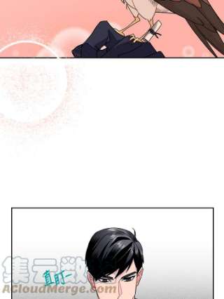 传令鸟公主殿下7话