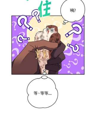 传令鸟公主殿下7话