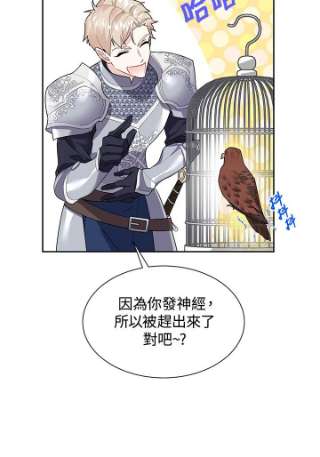 传令鸟公主殿下8话