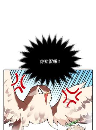 传令鸟公主殿下8话