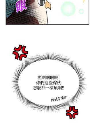 传令鸟公主殿下8话