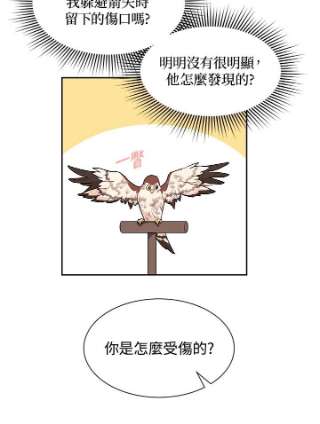 传令鸟公主殿下8话