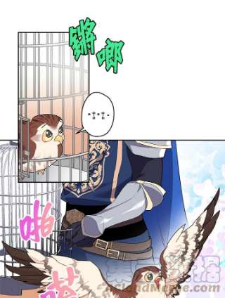 传令鸟公主殿下8话