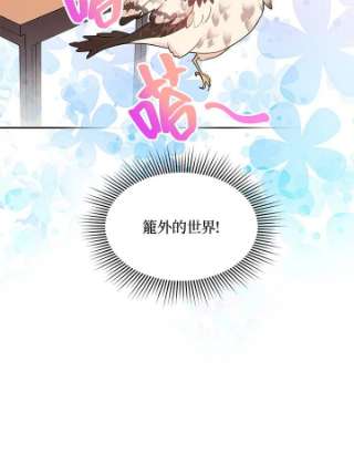 传令鸟公主殿下8话