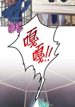 传令鸟公主殿下8话