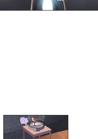传令鸟公主殿下8话